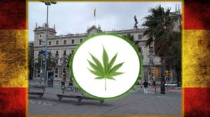 Feature Image for Is Cannabis Legal in Barcelona