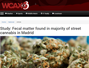 WCAX Headline Image - Madrid Cannabis Study