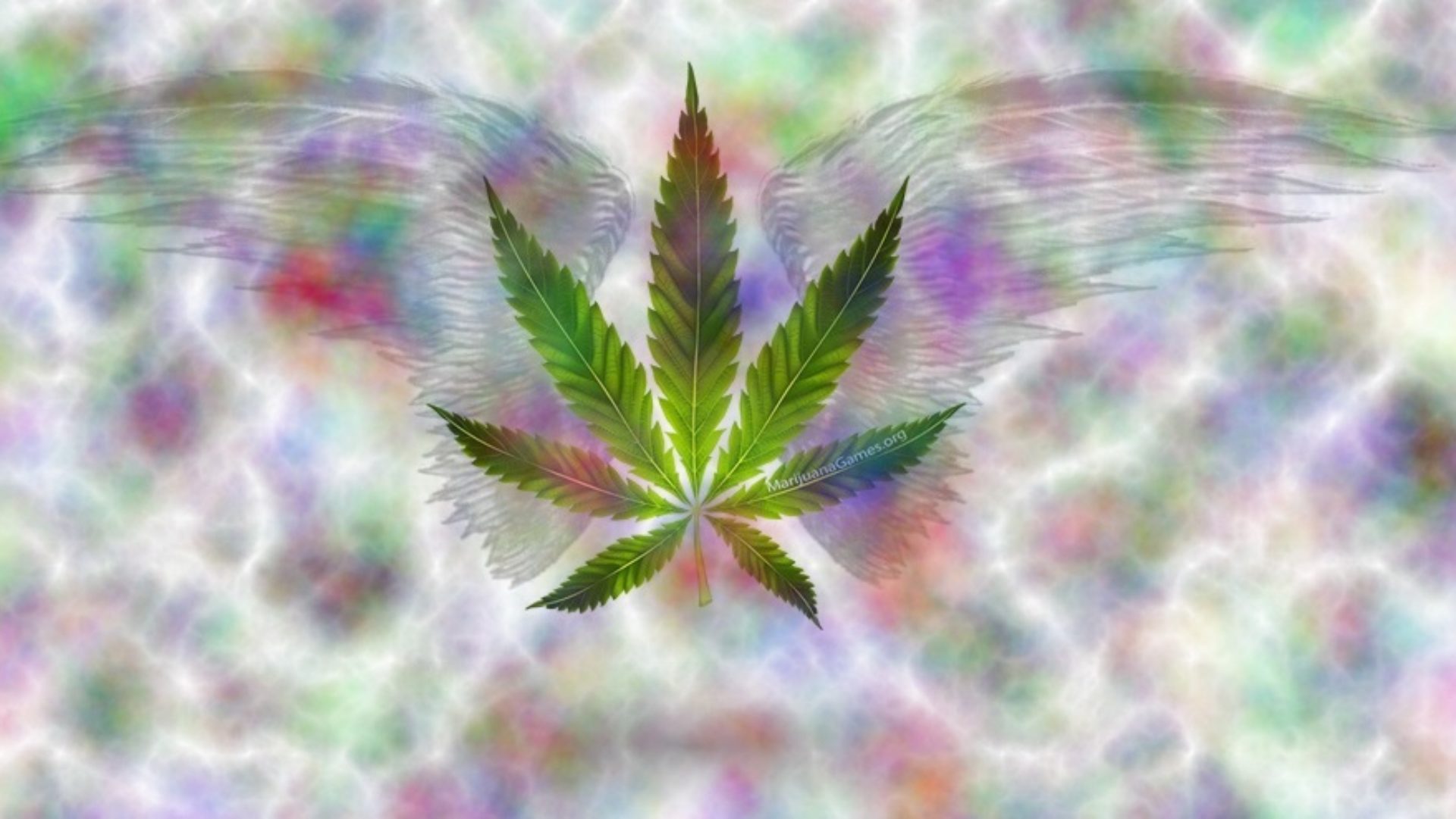 Weed Jokes – Marijuana Games, Reviews, Research and More