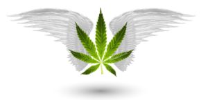 Marijuana Games Leaf and Wing Logo