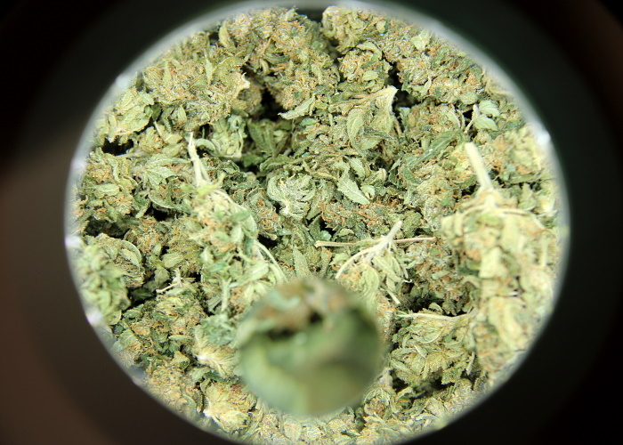Macro shot of a marijuana strain