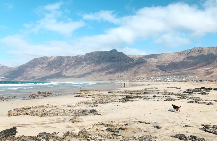 Caleta de Famara in Teguise