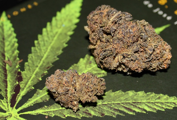 Top Strains – Marijuana Games, Reviews, Research and More